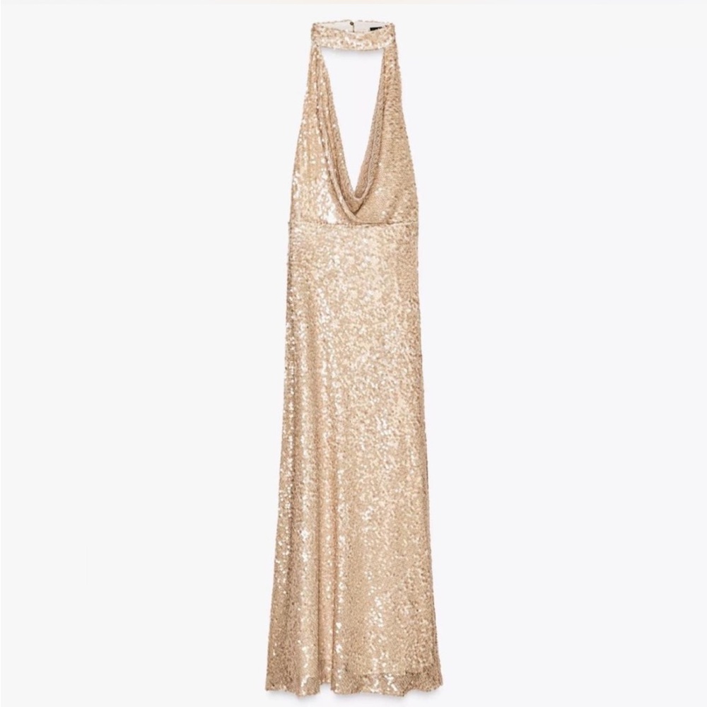 Zara Sequin Dress